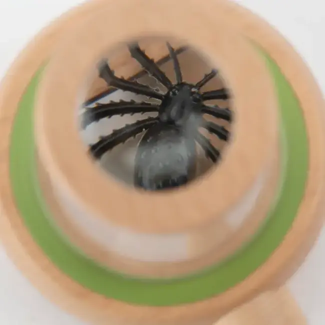 MOULIN ROTY GRANDE BOÎTE D'OBSERVATION  - LE JARDIN DU MOULIN