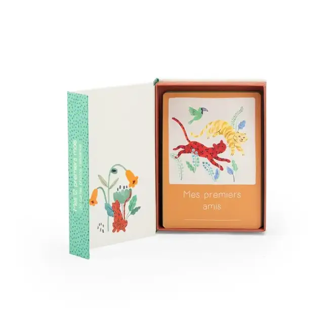 MOULIN ROTY CARTES MES 12 PREMIERS MOIS - LA FORÊT MAWA