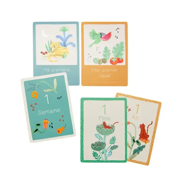MOULIN ROTY CARTES MES 12 PREMIERS MOIS - LA FORÊT MAWA