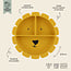 TRIXIE ASSIETTE VENTOUSE COMPARTIMENTÉE SILICONE - MR LION