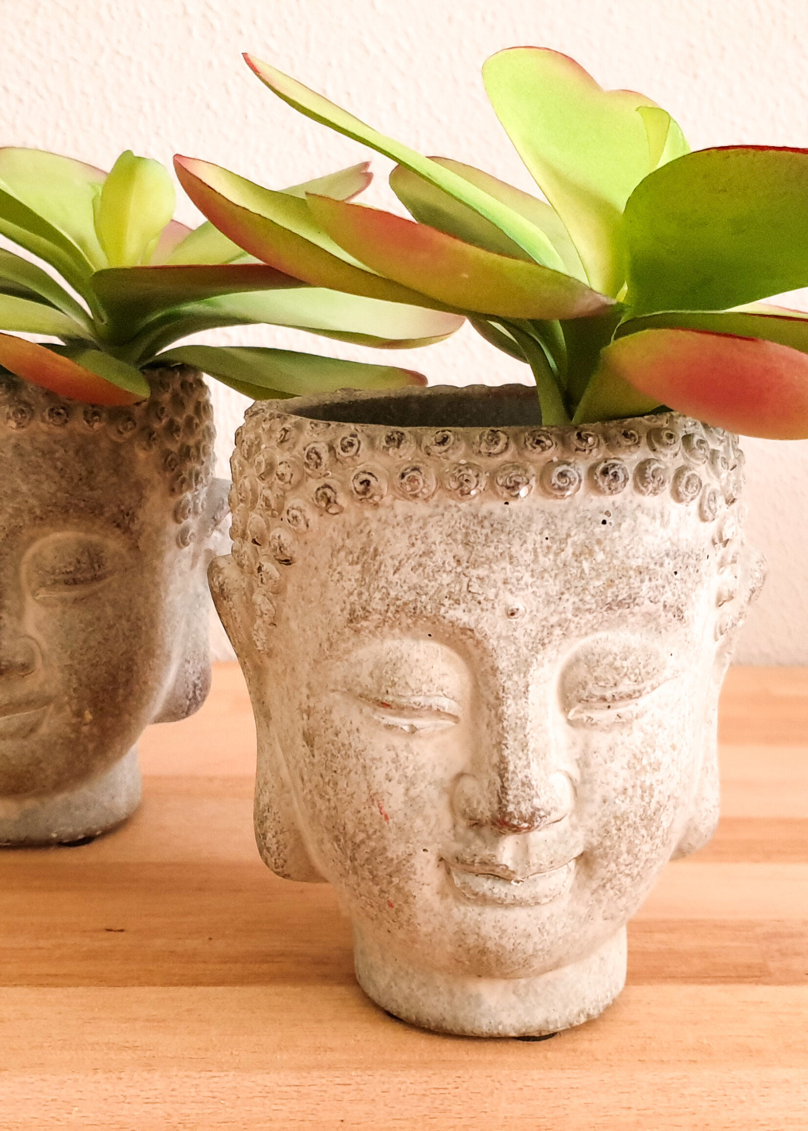 Kersten B.V. Plantenpot Boedha cement grey