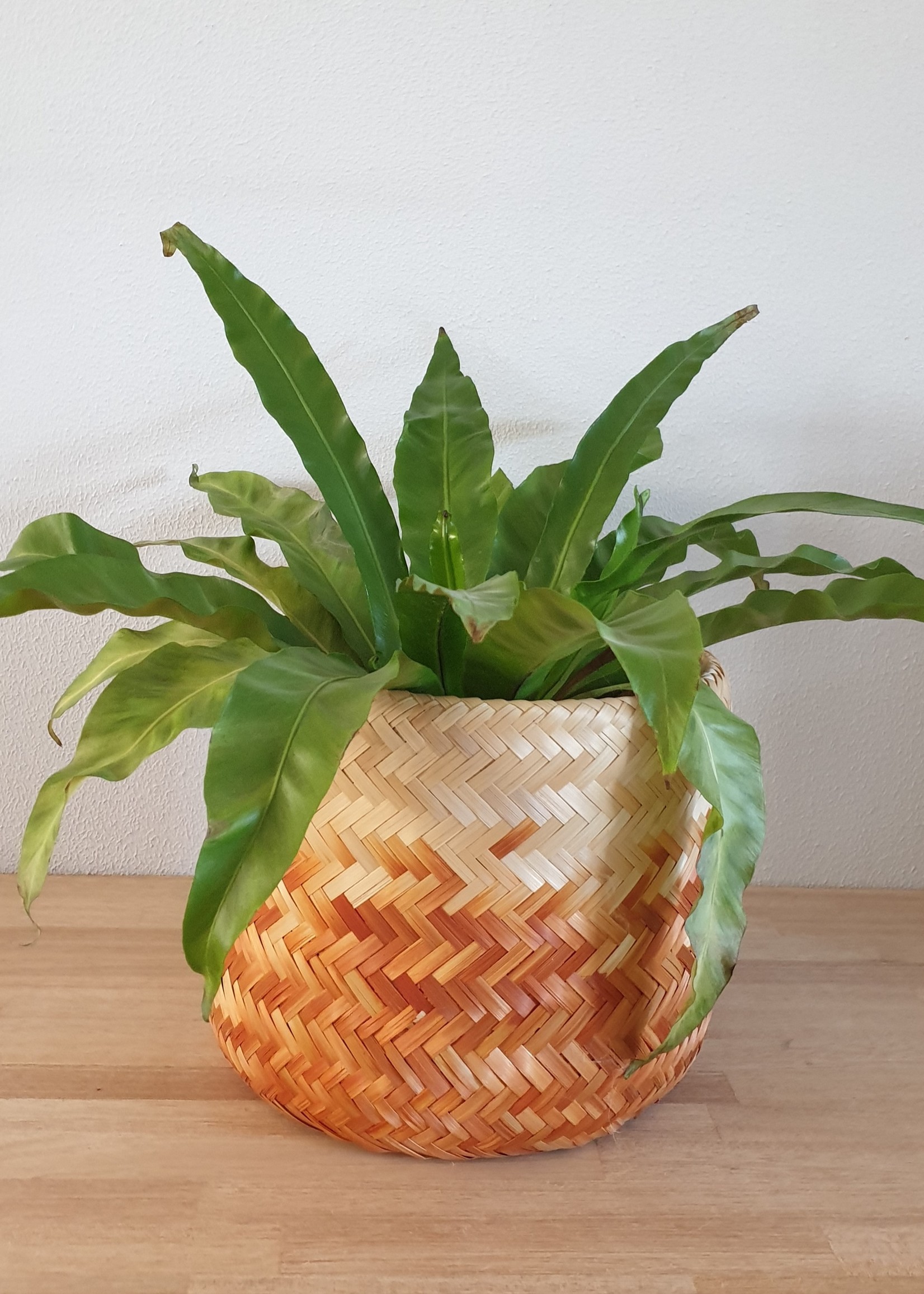 Mica Decorations Algarve mand rood medium 25 x 30 cm