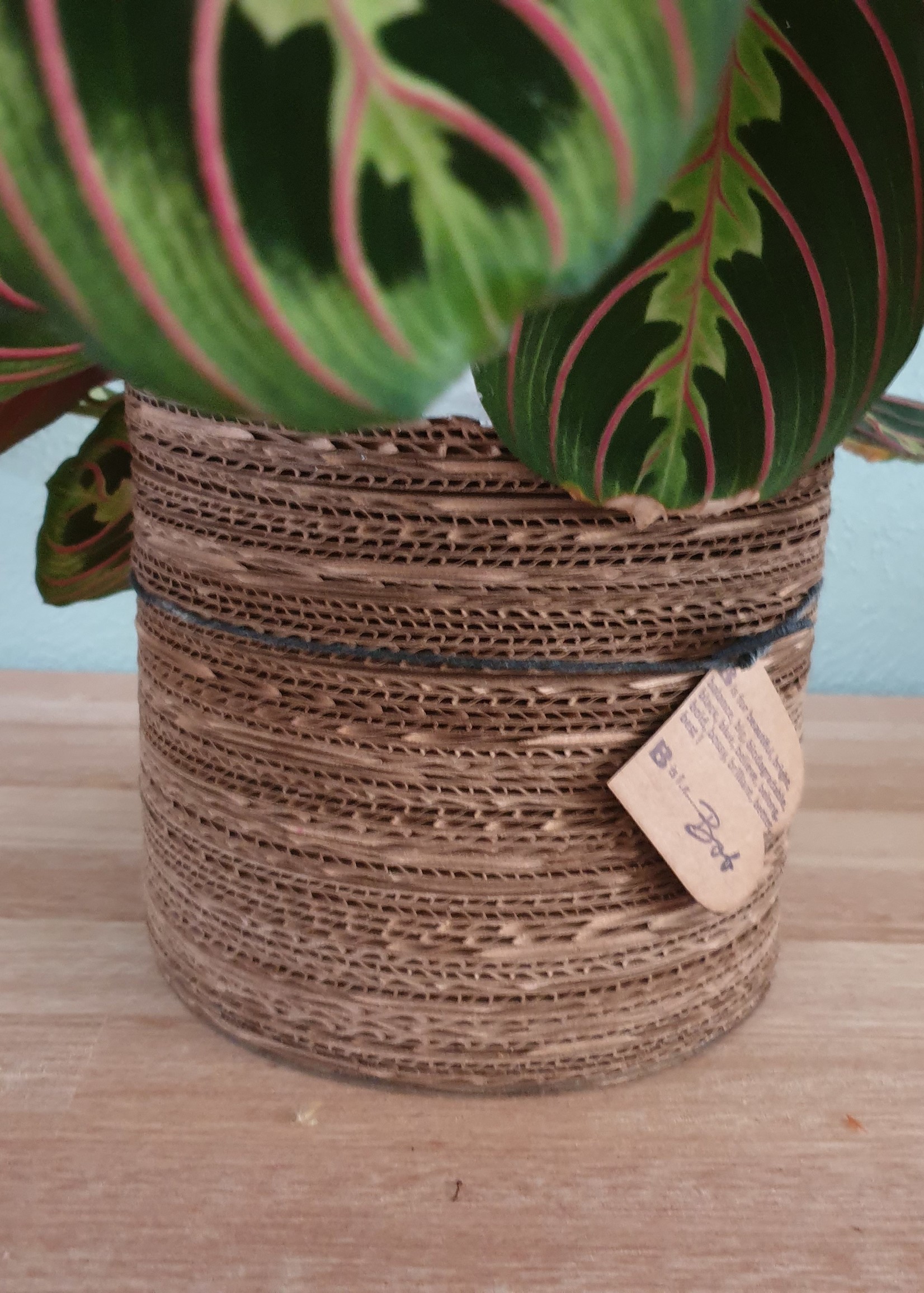 Bob Interieuraccessoires Corrugated pot natural white 13 x 15 cm