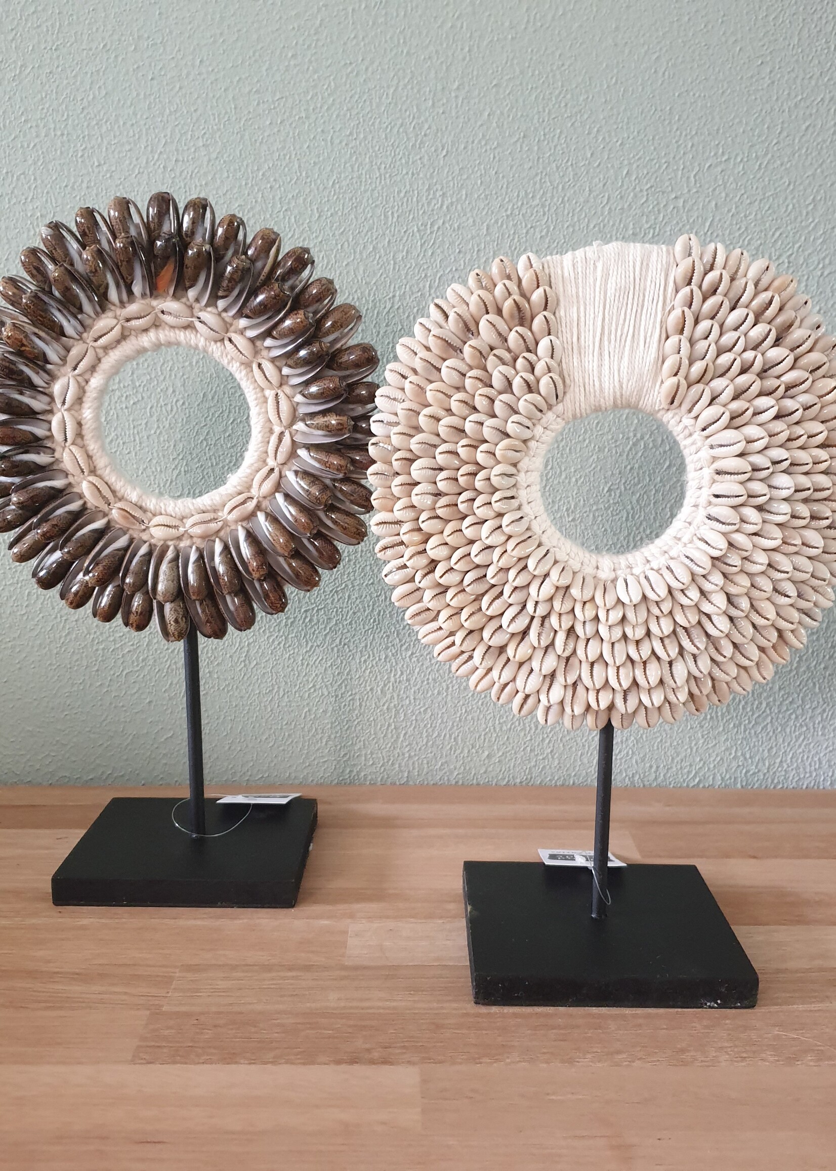 Pole to Pole BV papua Shell