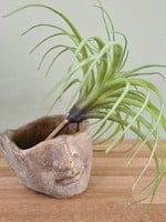 Kersten B.V. Planter Face Concrete Gold