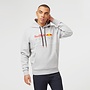 Red Bull Racing Logo Hoody Grijs