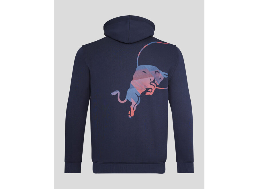 Red Bull Racing Graphic Hoody