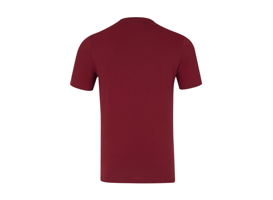 Red Bull Racing Logo Shirt Rood
