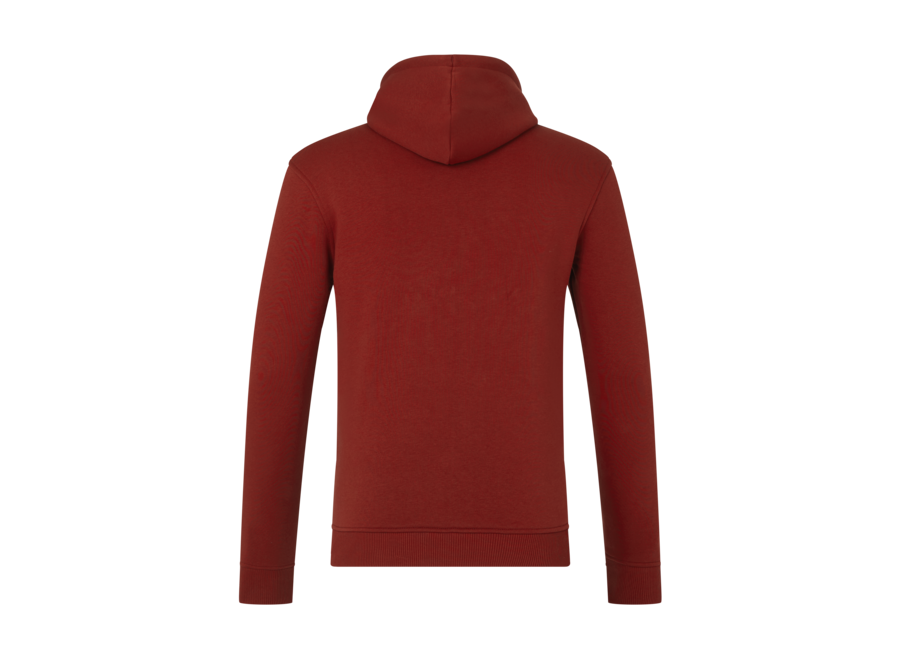 Red Bull Racing Logo Hoody Rood