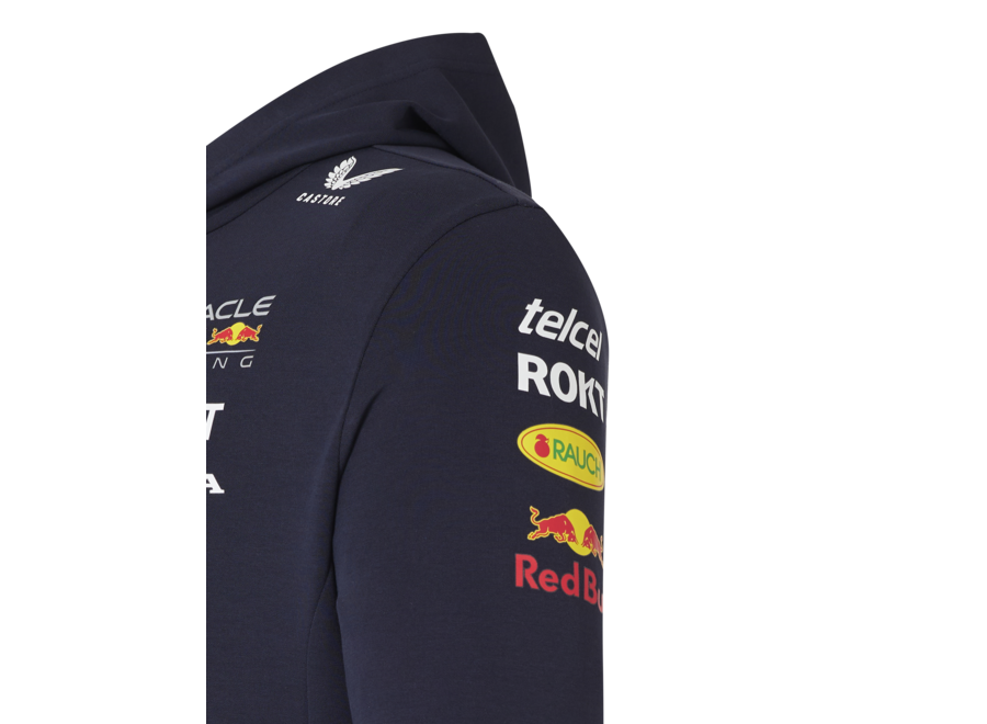 Red Bull Racing Teamline Hoody 2024