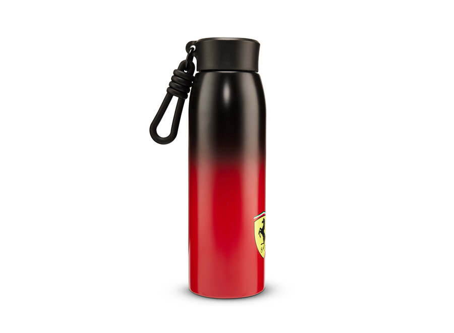 Ferrari WasserFlesch 600 ML