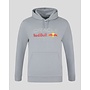 Red Bull Racing Logo Hoody Grijs