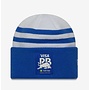 Visa Cash App Racing Bulls Teamline Beanie 2025