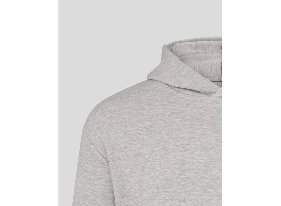 Max Verstappen Sleeve Graphic Hoody Grijs 2026