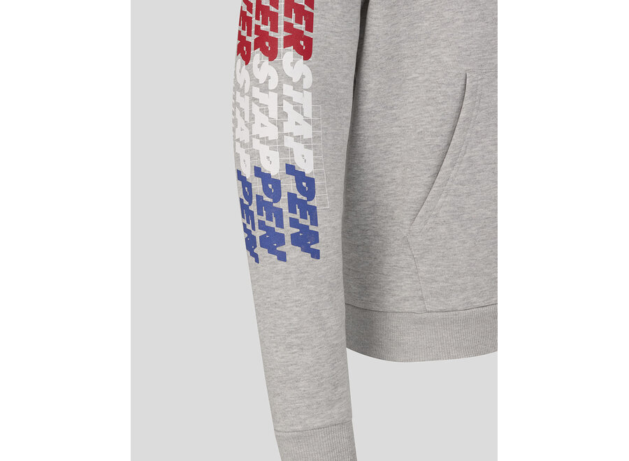 Max Verstappen Sleeve Graphic Hoody Grijs 2026