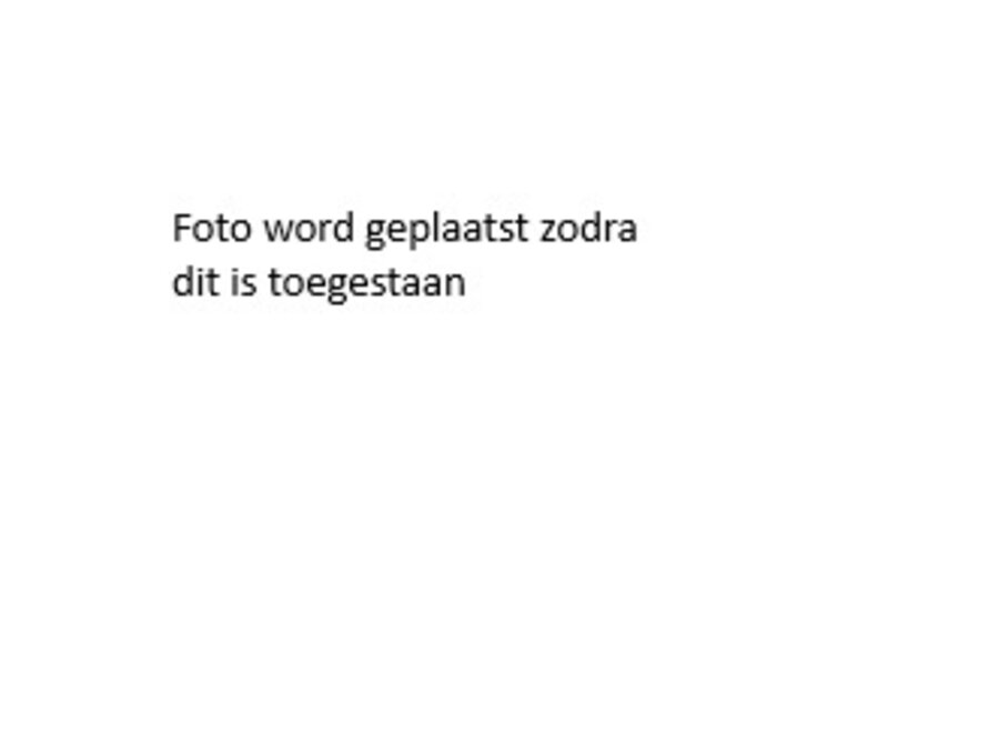 Pre order - Max Verstappen Kappe 2026