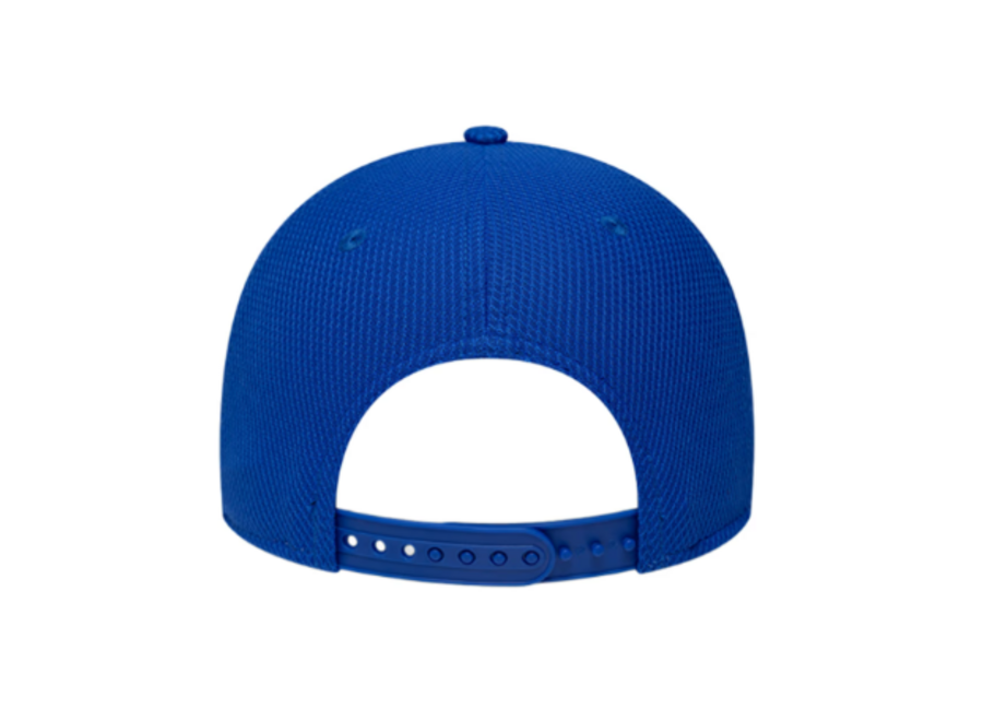 Visa Cash App Team Cap 2026