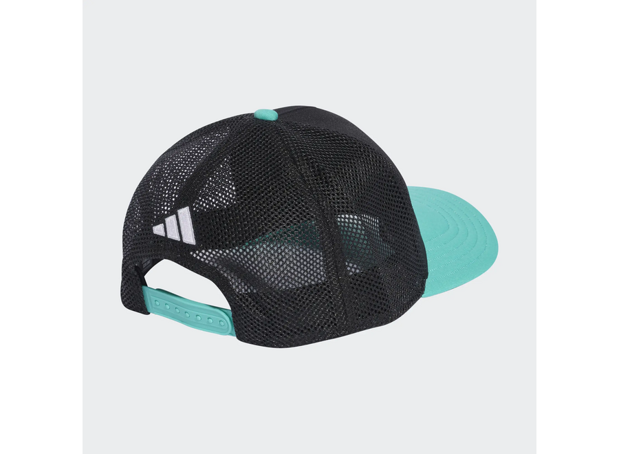 Mercedes DNA Cap Zwart Groen 2026