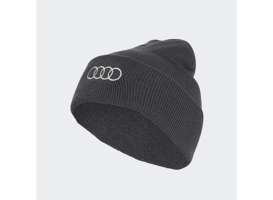 Audi F1 Revolut Team beanie
