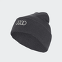 Audi F1 Revolut Team beanie