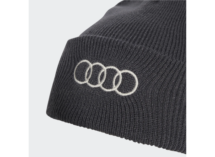 Audi F1 Revolut Team beanie
