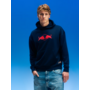 Oracle Red Bull Racing Spark Hoodie Blauw