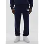 Williams Joggingsbroek 2026