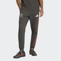 Audi F1 Revolut DNA Pants