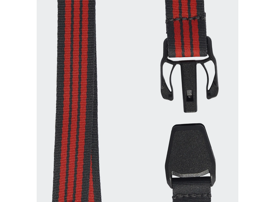 Audi F1 Lanyard