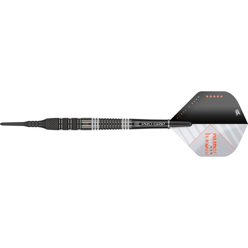 Target Target Raymond van Barneveld x Echo 95% - Šipky Soft