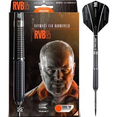 Target Raymond van Barneveld 95% - Šipky Steel