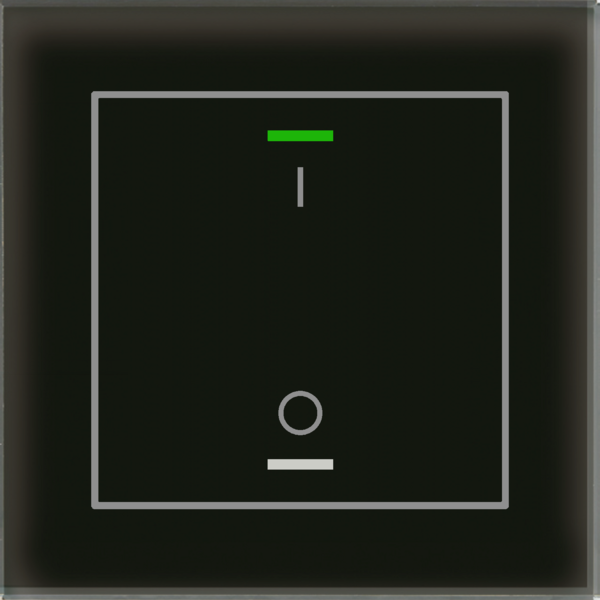 MDT Glastaster II Light 1-voudig I/O Symbol met temp. sensor