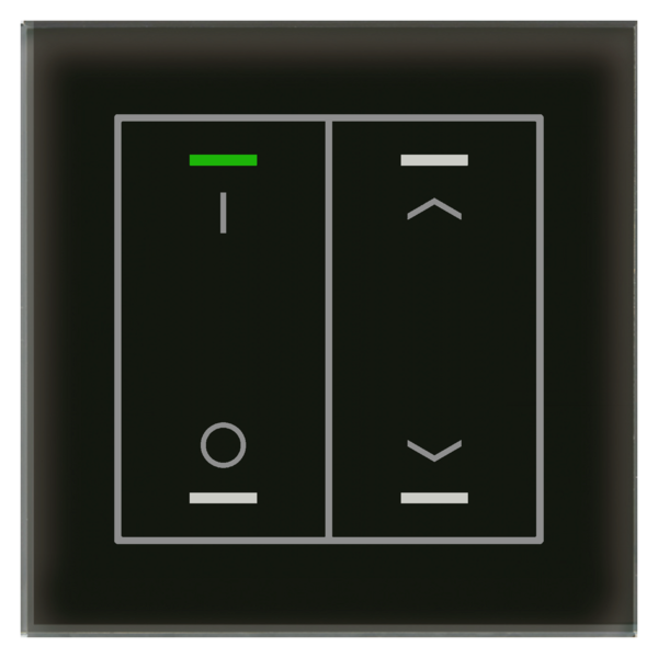 MDT Glastaster II Light 2-voudig  I/O  en I/O  UP/Down symbool met temp. sensor