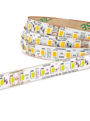 Tridonic LLE FLEX 8mm 48V 17W 2500lm 8XX SNC2 R10