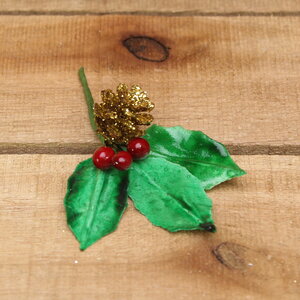 Hulst gouden dennenappel Hulst gouden dennenappel