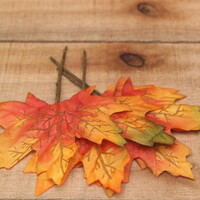 Herfstblad groot