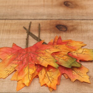 Herfstblad groot