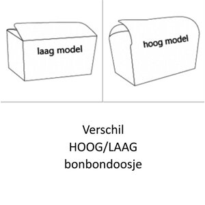 Uitleg HOOG LAAG model