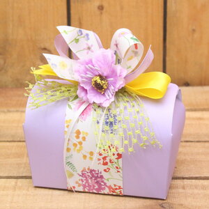 Pastel Lila HC Goedemorgen Pastel Lila HC Goedemorgen