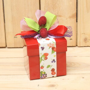 Rood KC Zomerfruit