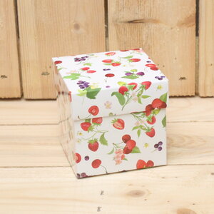 Zomerfruit KUBUS