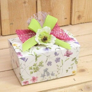 Banderol transparant LAAG Veldlief