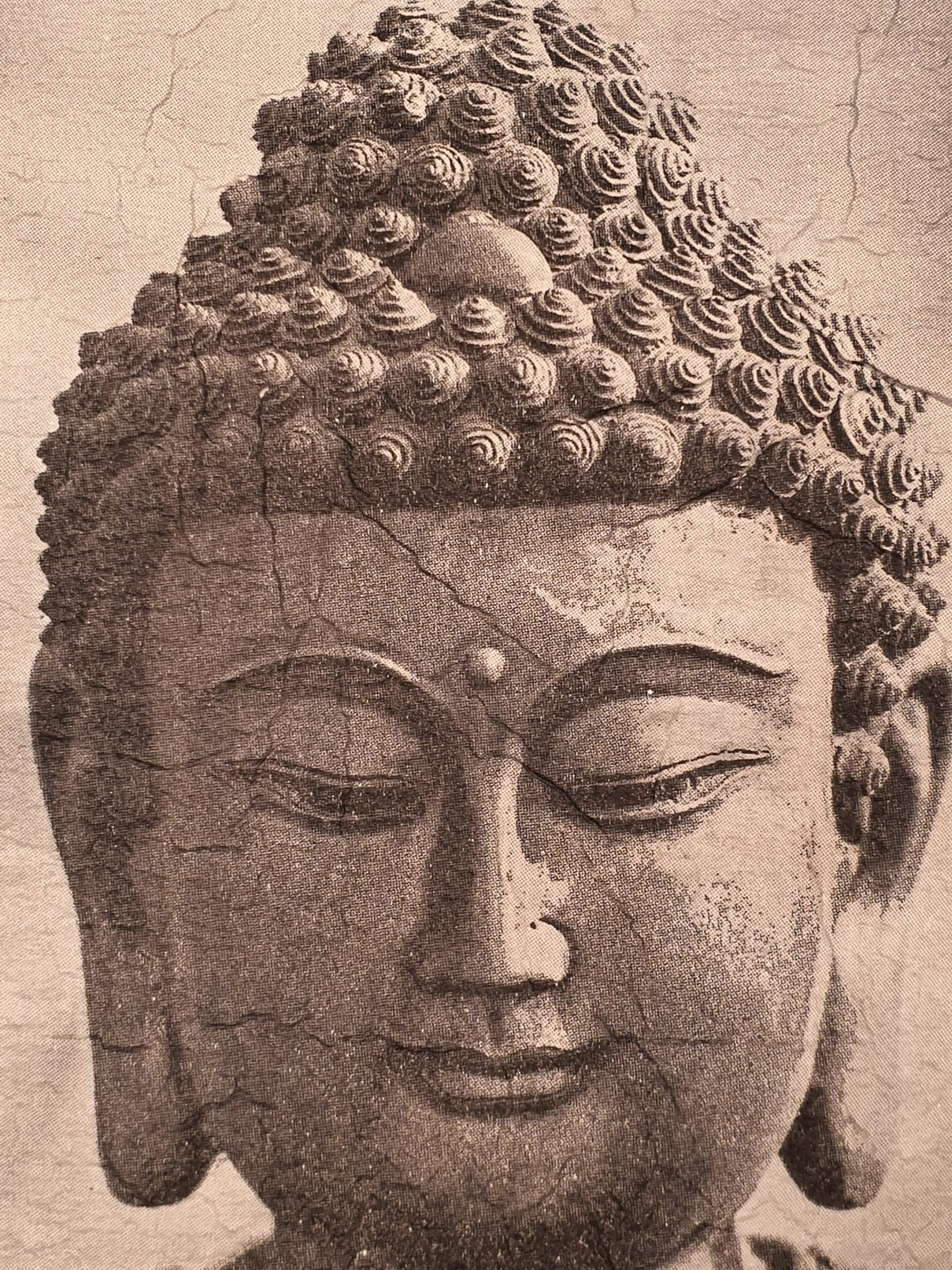 wooden tile black berlin buddha close up-4