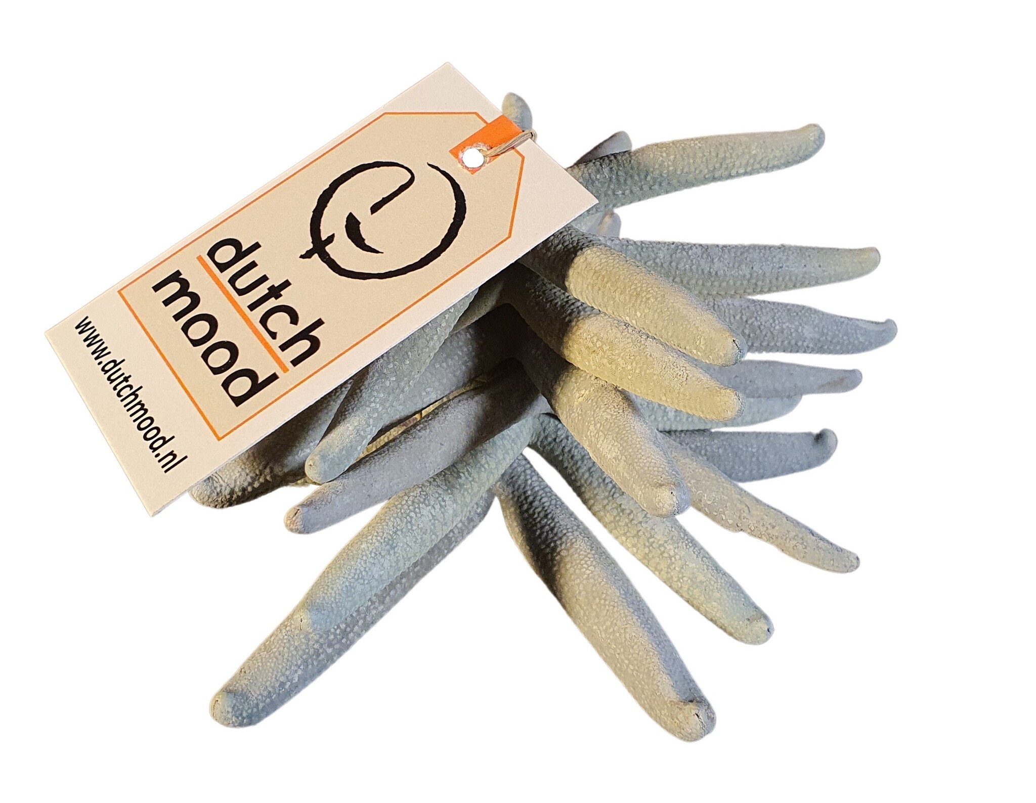 home dec shell starfish blue 6 pcs-5