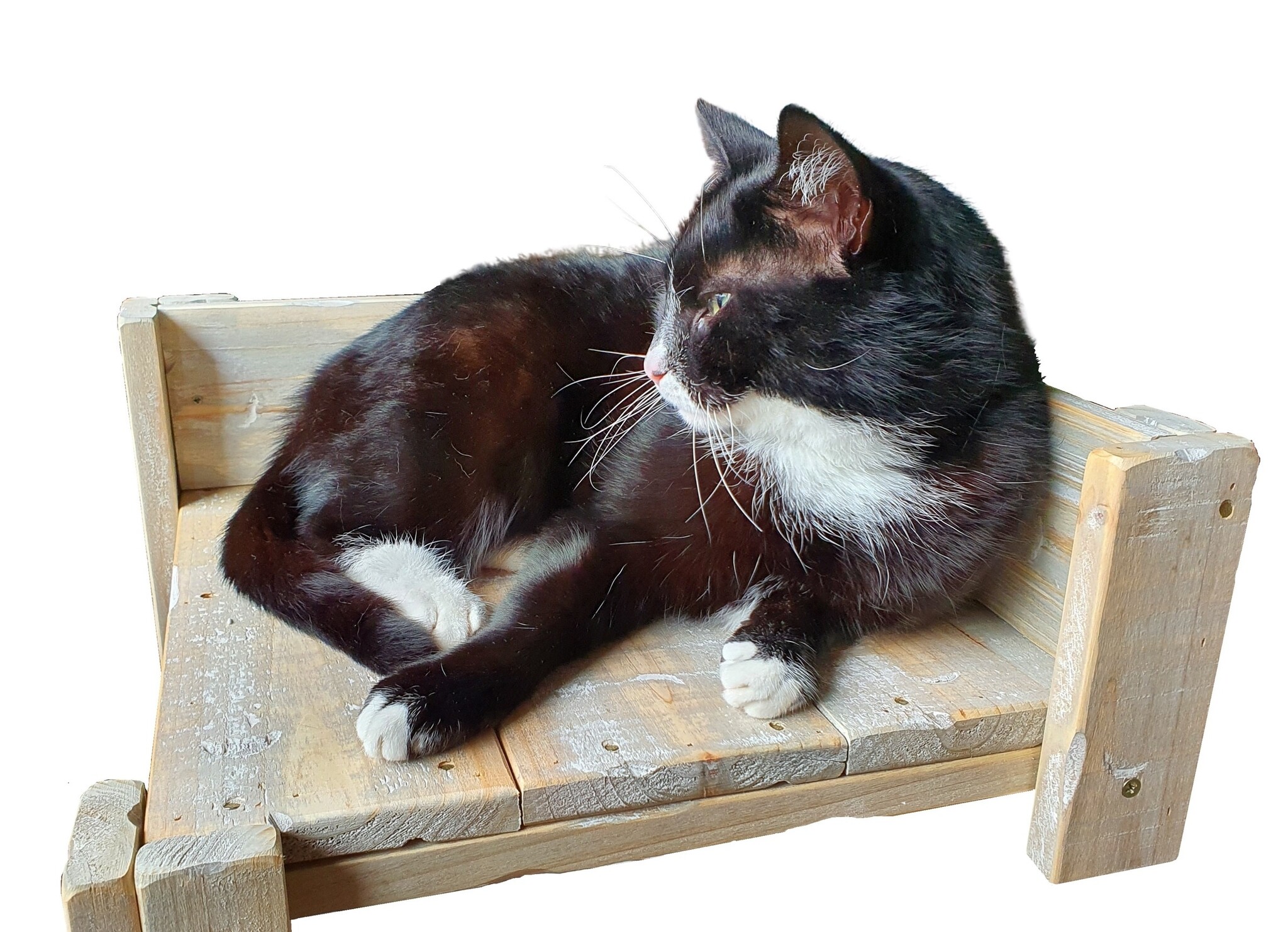 furn old dutch cat table low-1