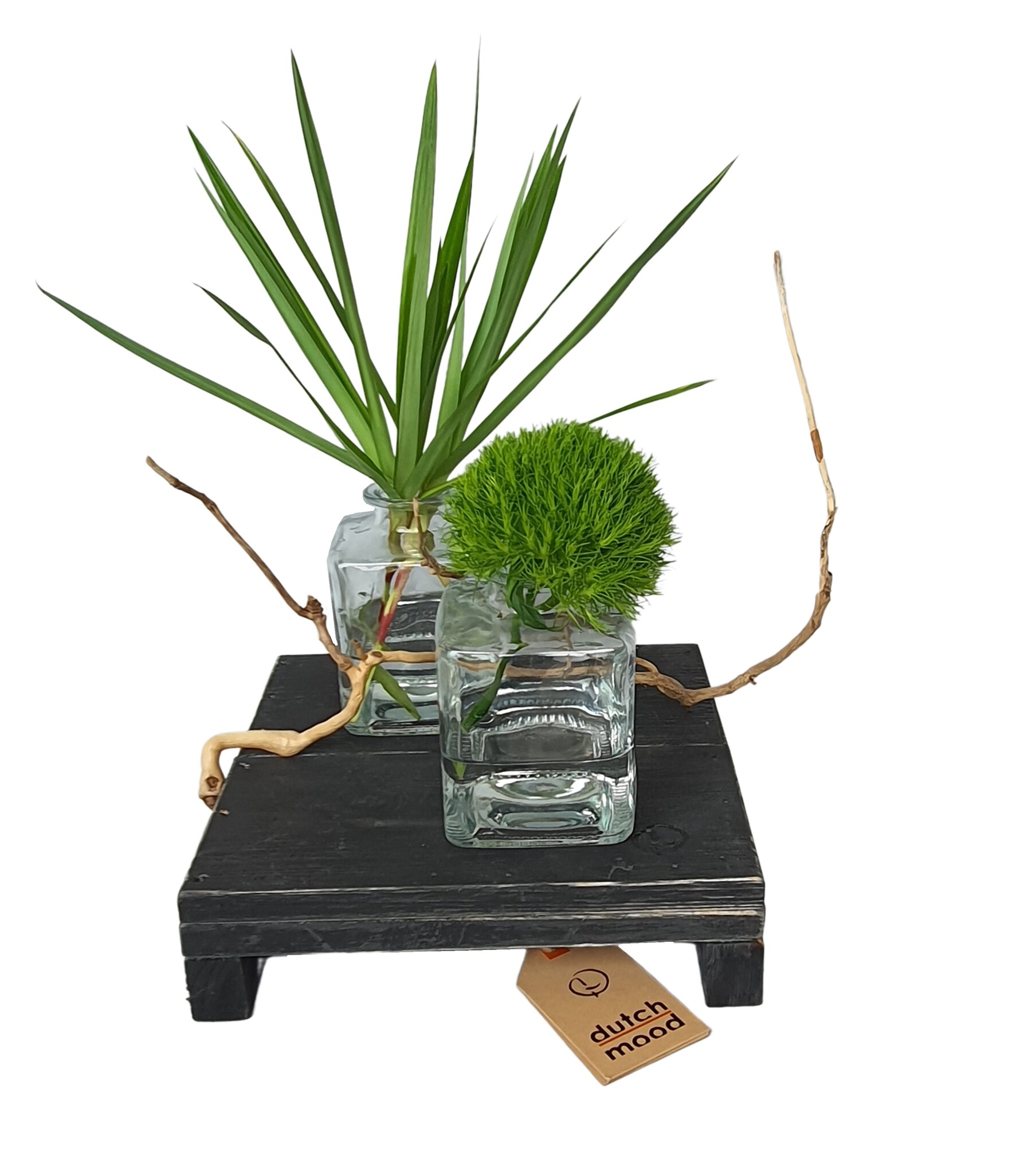 tray black berlin otte 20-2