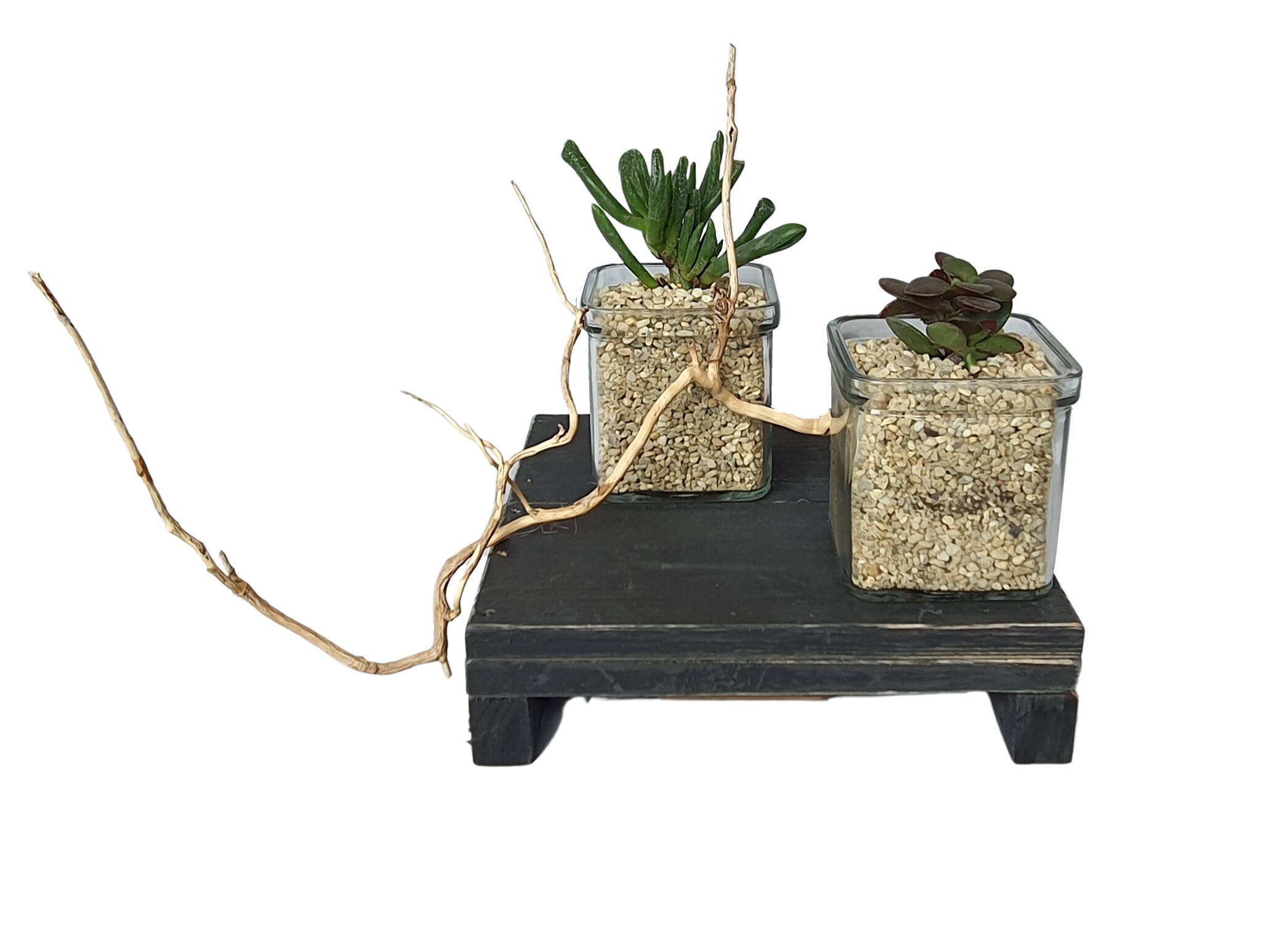 tray black berlin otte 20-4