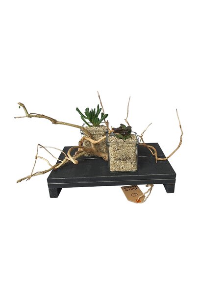 plateau black 30 cm