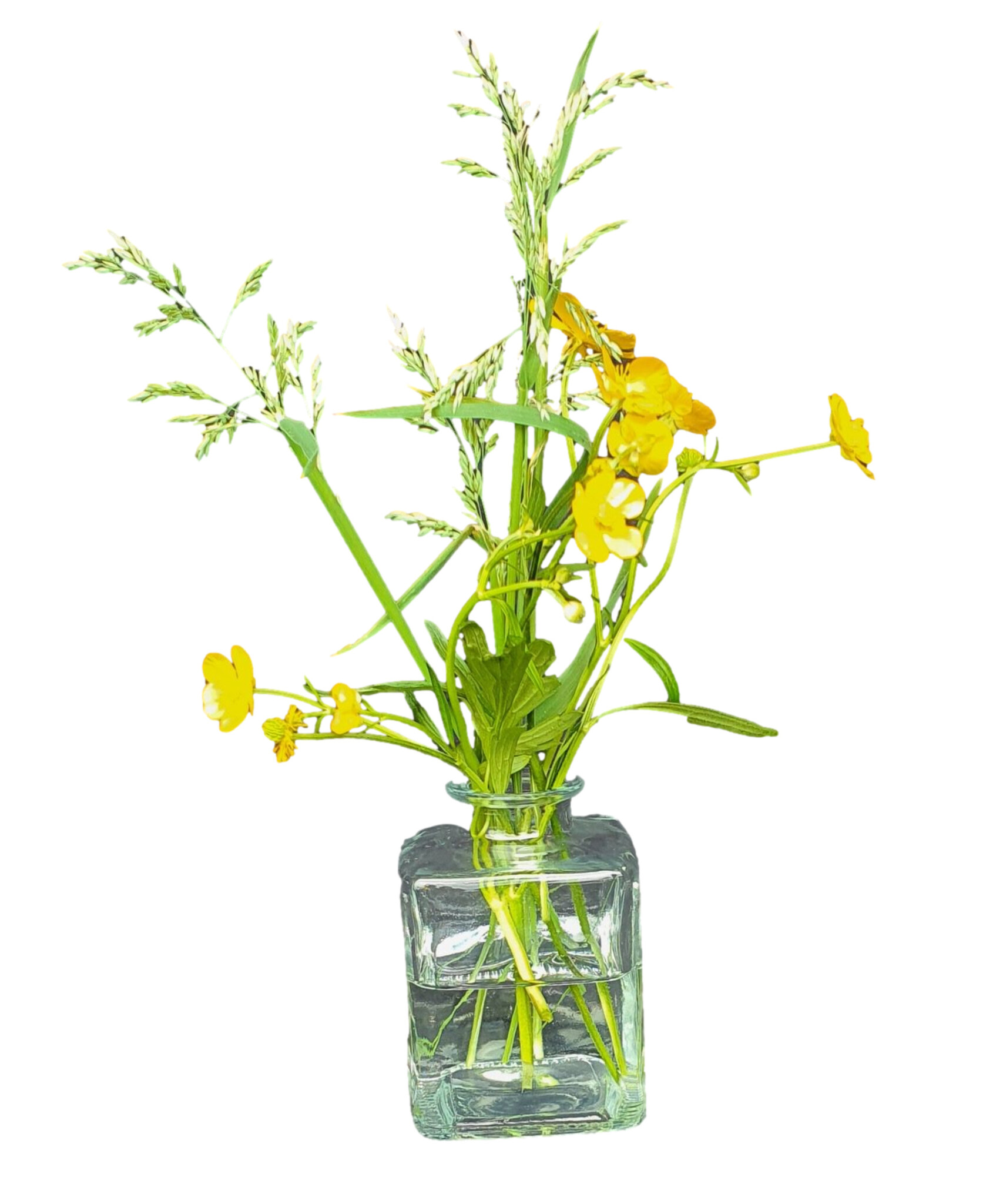vase glass anne 7.5 / 7.5-4