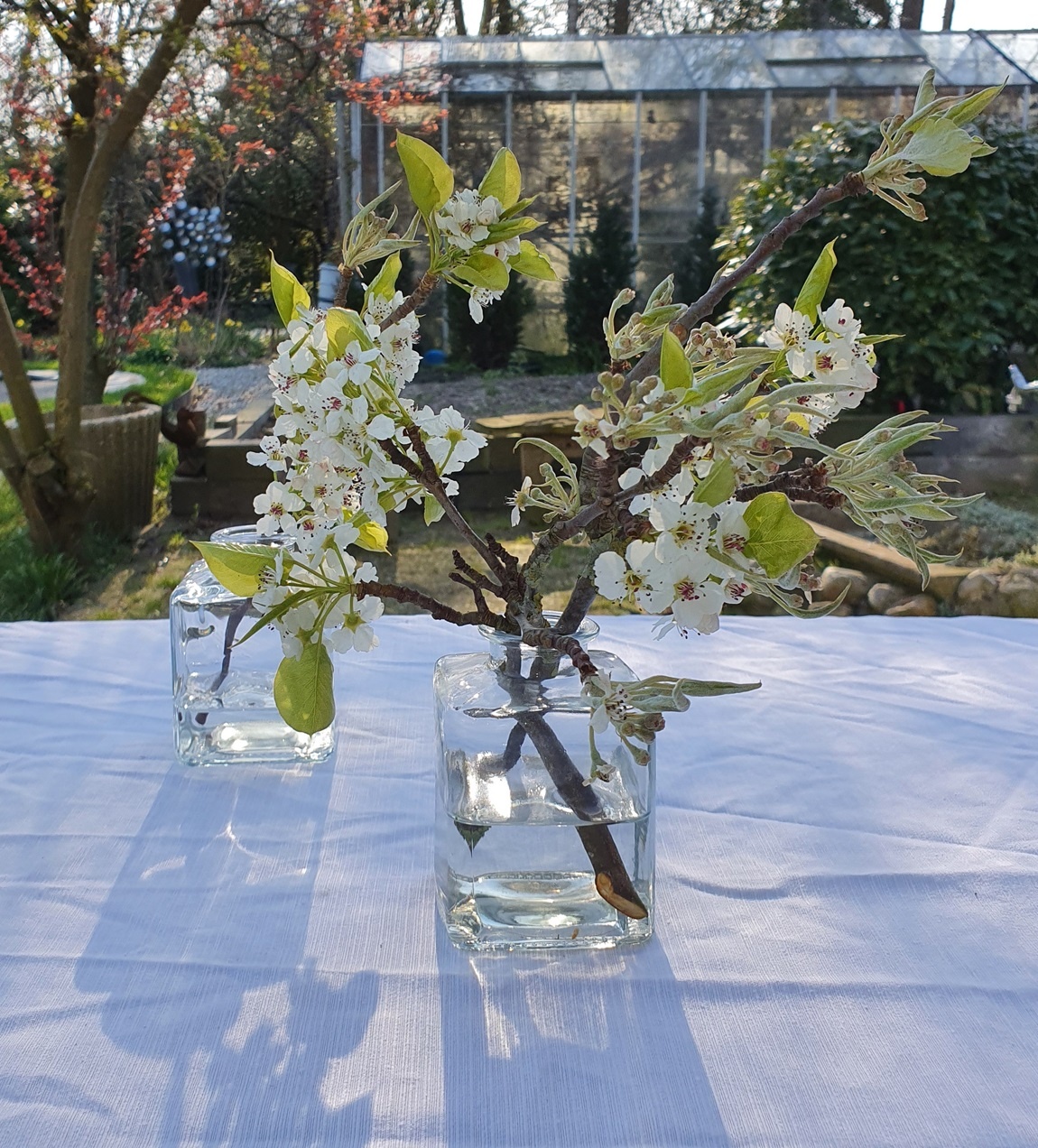 vase glass anne 7.5 / 7.5-6